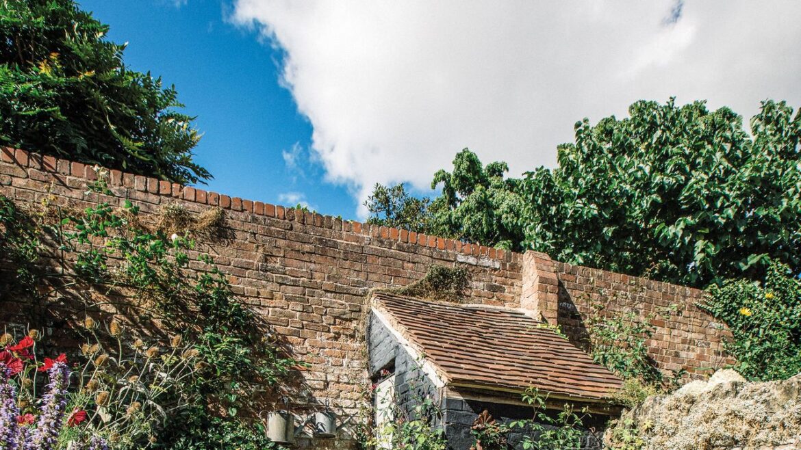 A first-time gardener's starter pack: the tools you really need to get going