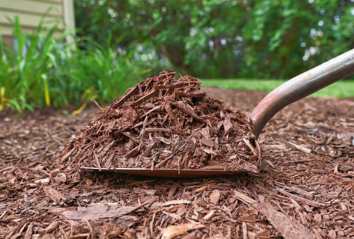 9 Gardening Tasks to Tackle Now for an Easier Spring Planting Season Better Homes & Gardens