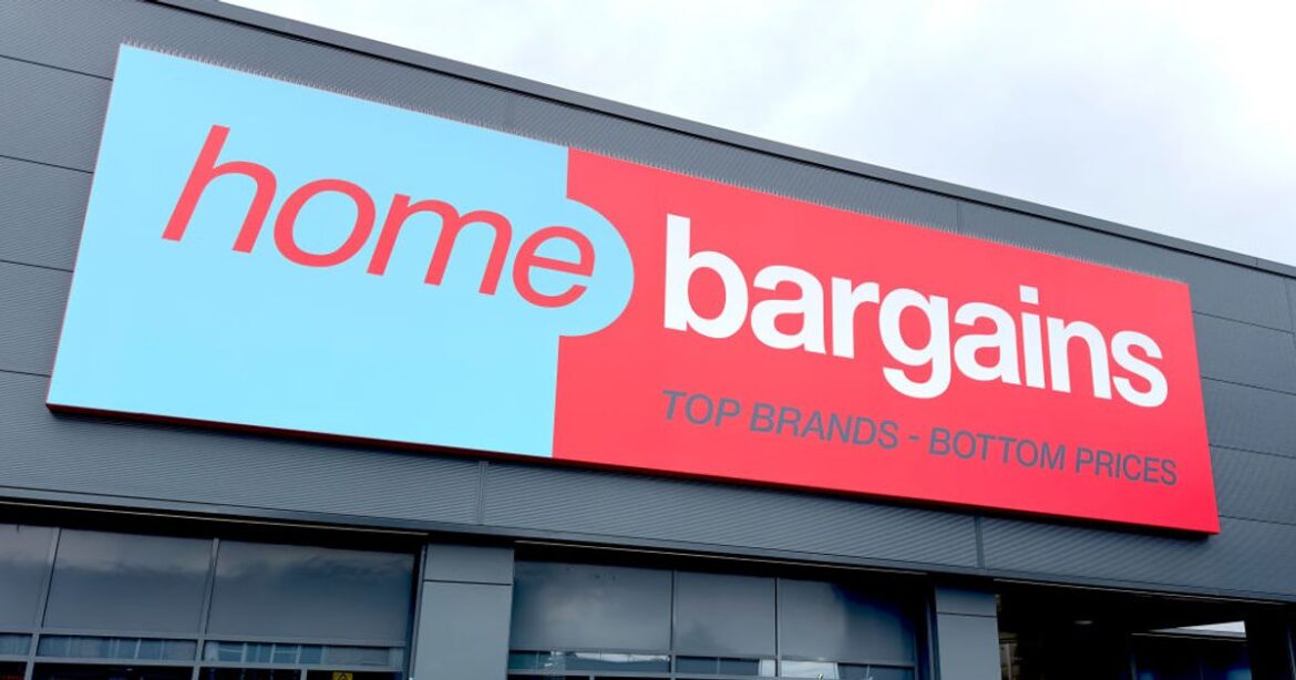 Home Bargains’ £2.99 hanging baskets are perfect for outdoor plants Liverpool Echo
