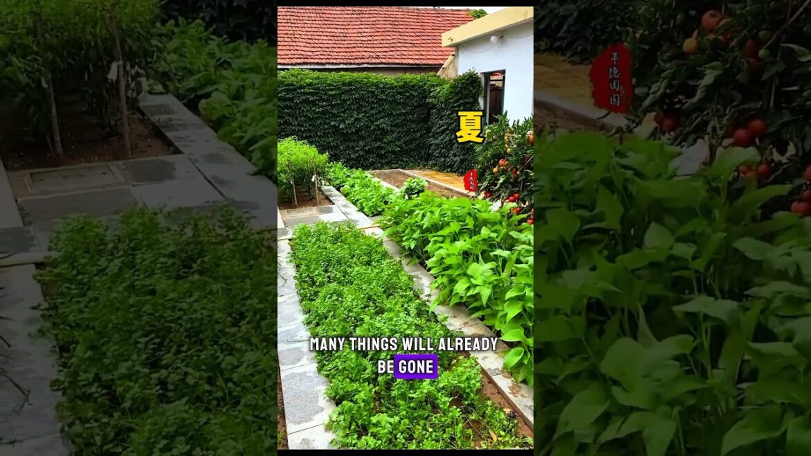 Wait until you have plenty of time to experience rural life. Even just growing vegetables.#shorts