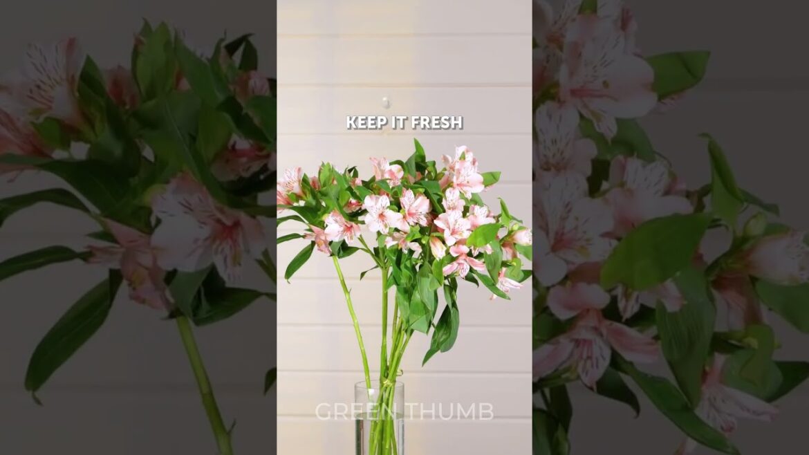 Growing plants and running your garden in the simple way 🌿