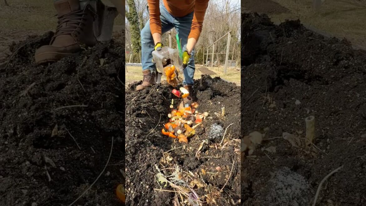 5 Ways To Compost Your Food Scraps