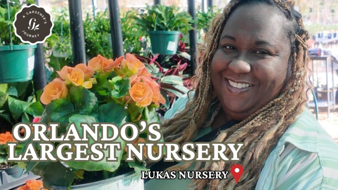 My Visit to Orlando's Largest Nursery| Garden Nursery Tour| Lukas Nursery