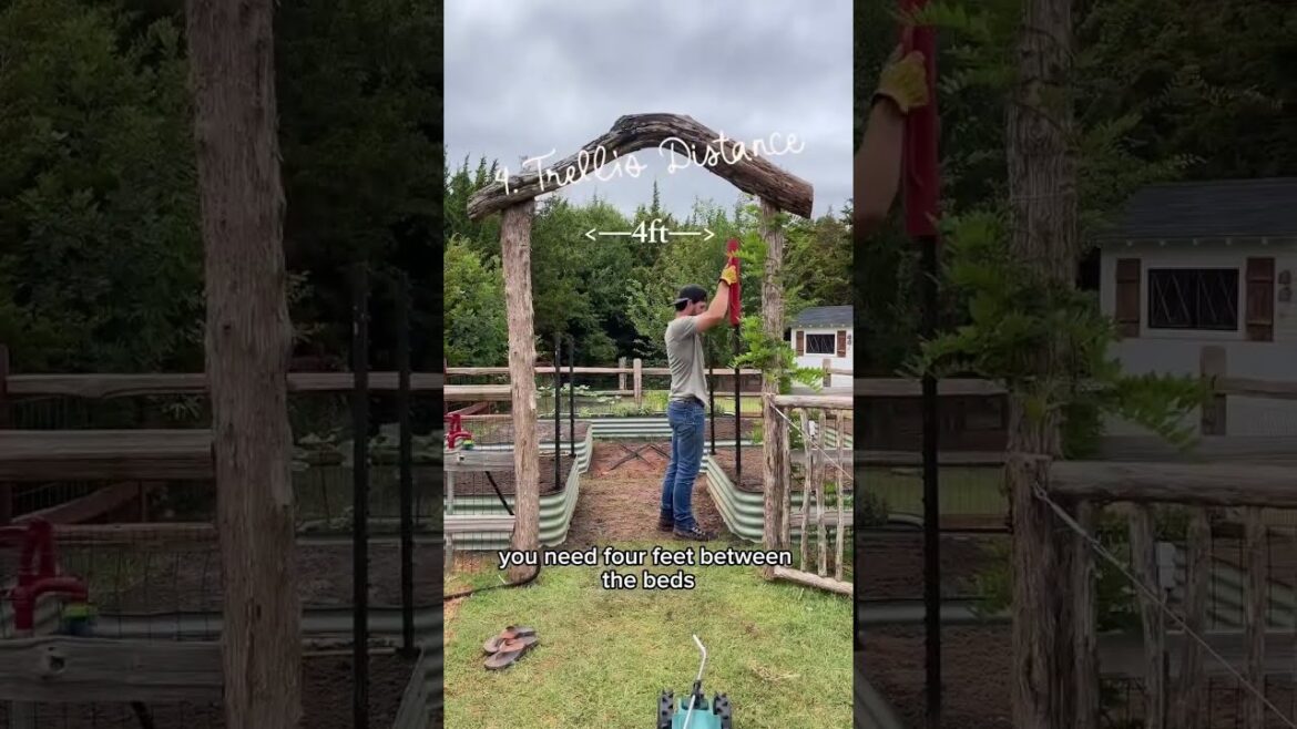 How to Plan Your Dream Garden Layout  | Garden Bed Design, Entrances & Ground Options (Part 2)