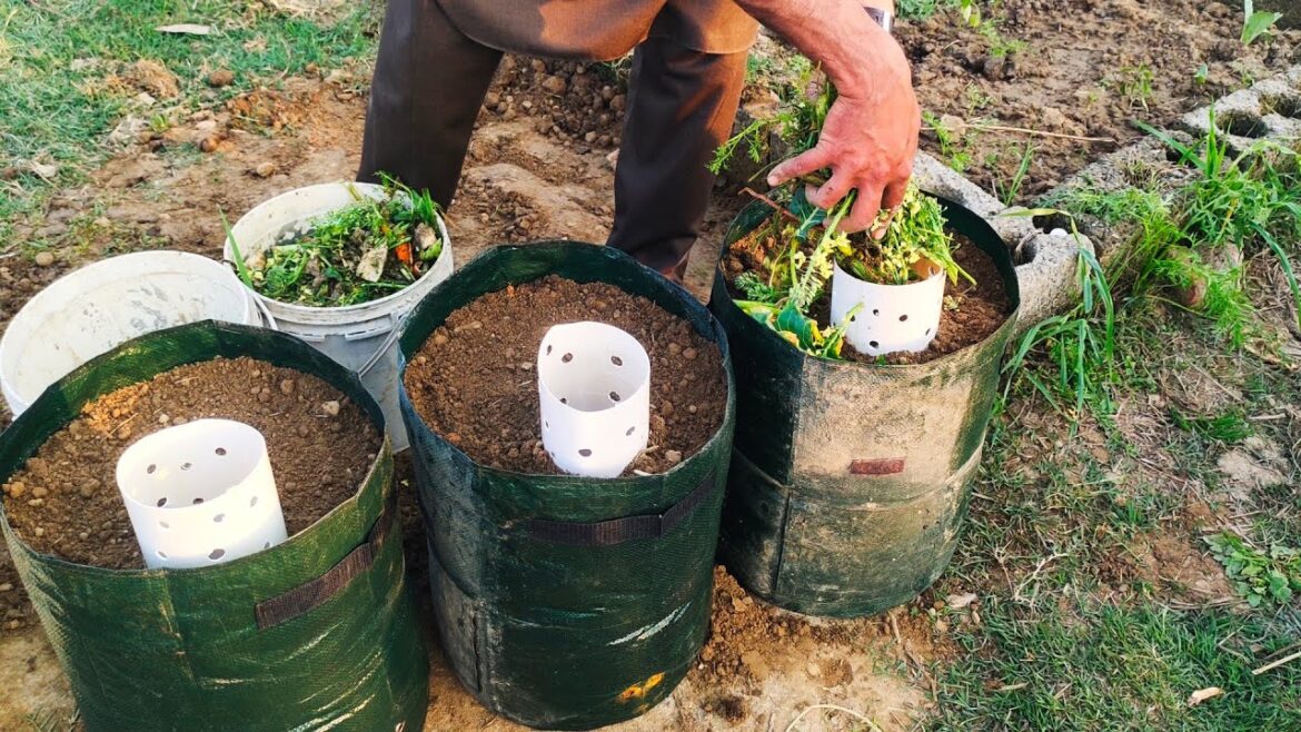 Self-Feeding Container Garden with Built-In Compost System
