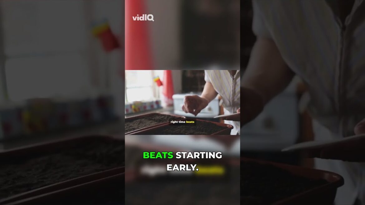 Quiet Winter Work, LOUD Summer Garden Results!