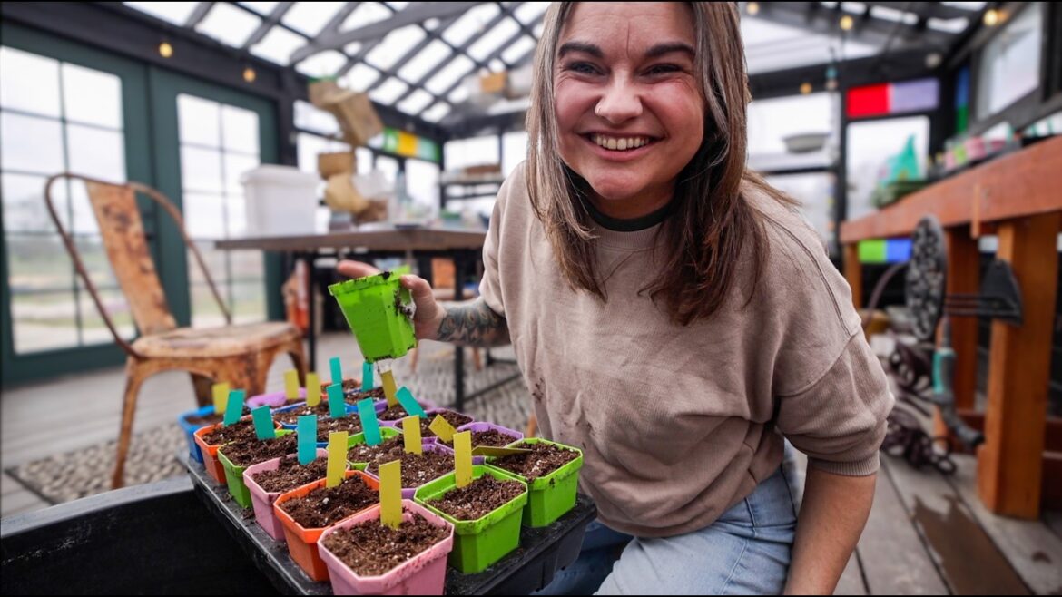 I love to talk TOMATOES (the best varieties, tips, & my garden plan)