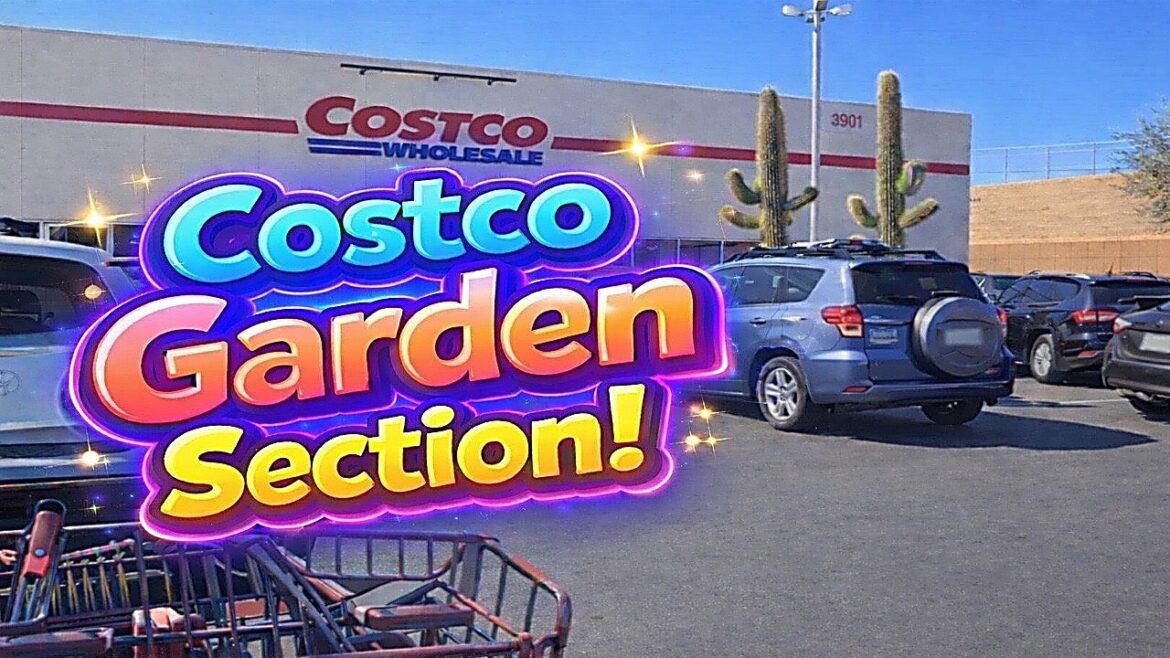 Costco Garden Finds! ๐ฟ Plants, Patio Furniture & Outdoor Deals Costco Garden Finds! ๐ฟ Plants, Patio Furniture & Outdoor Deals