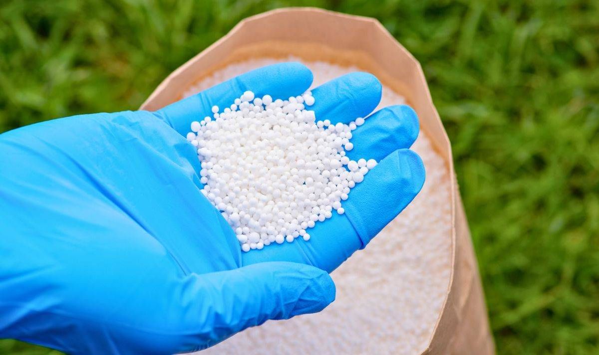 Picture of someone adding lawn sand to grass