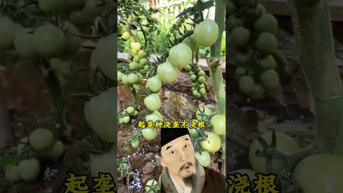 Master Vegetable Gardening: Watering Secrets Revealed