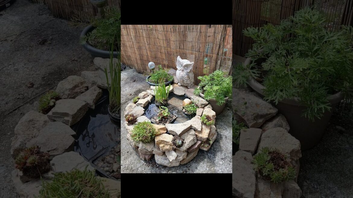 Small home garden design pictures Simple home garden design Village Home garden design