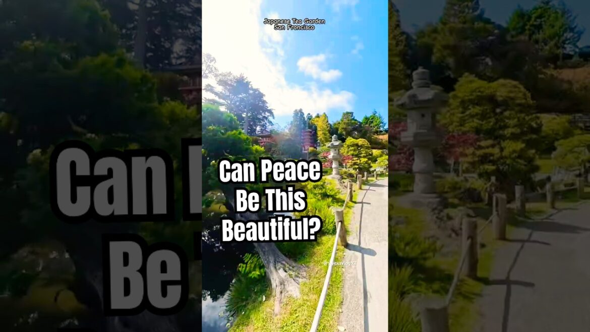 Can Peace Be This Beautiful? | Japanese Tea Garden, San Francisco #gardening #travelvlog