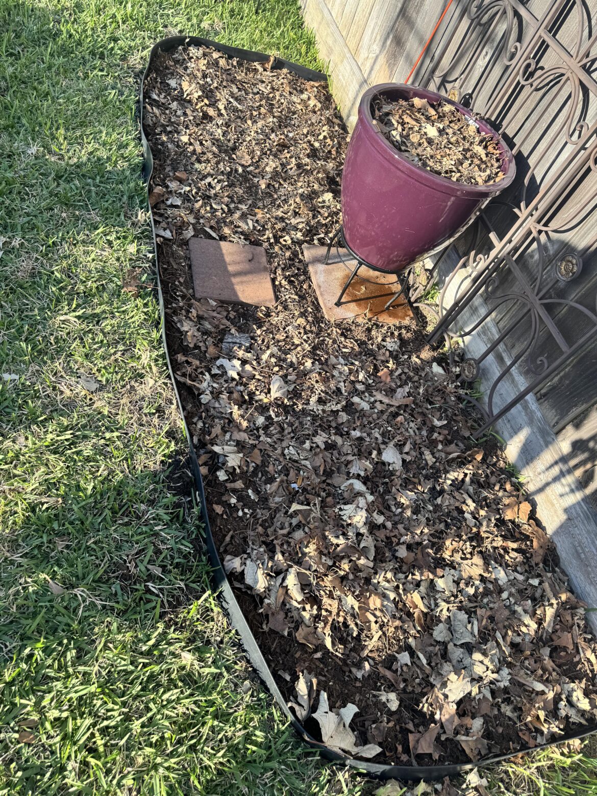 Houston, TX gardener.