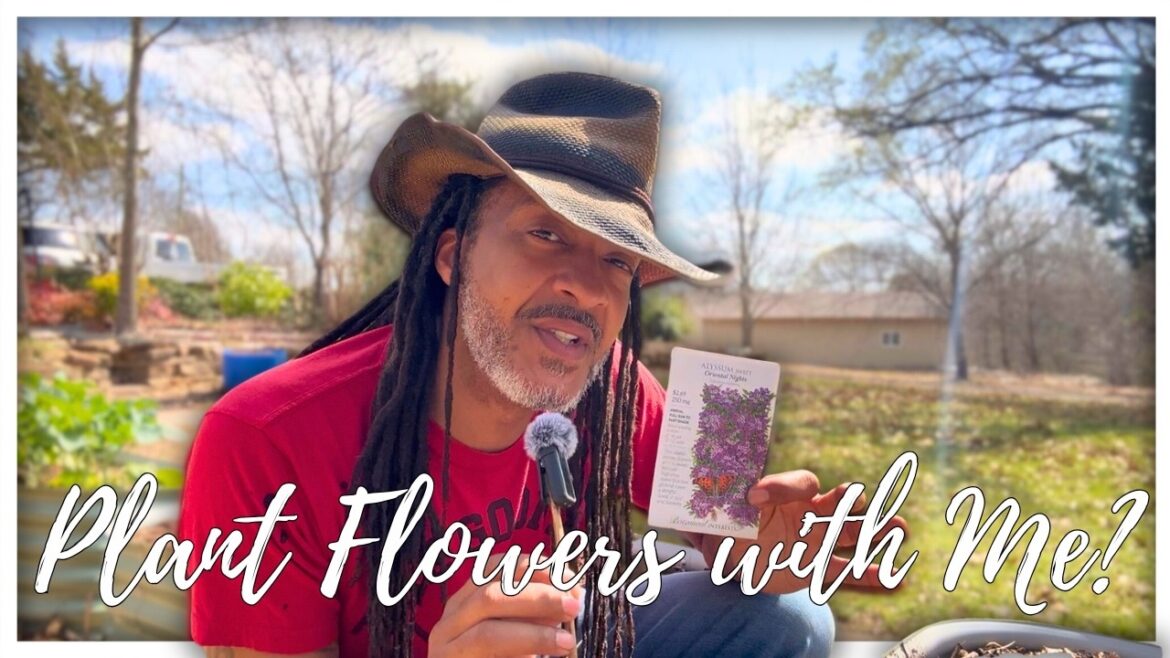 Planting My Spring Garden: Alyssum, Potatoes & Battling Texas Vermin 🥔🌸