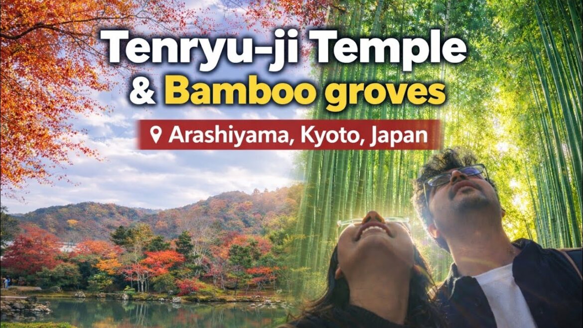 TENRYU-JI TEMPLE/ ARASHIYAMA BAMBOO GROVES / ARASHIYAMA / KYOTO / JAPAN