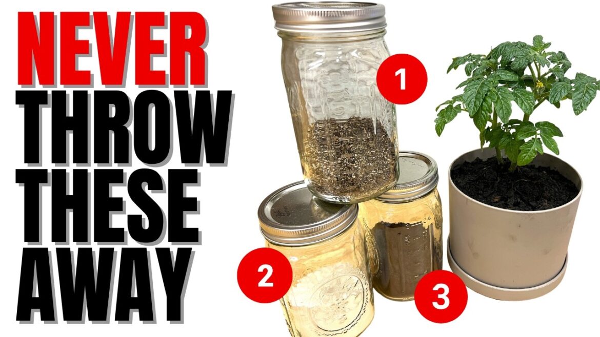 MIRACULOUS GARDEN MIX Made With 3 Items Everyone Throws In The Trash