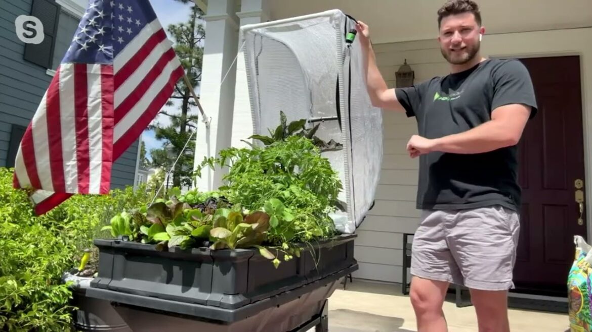 Vegepod Self-Watering Small Container Garden with Stand & Cover on QVC