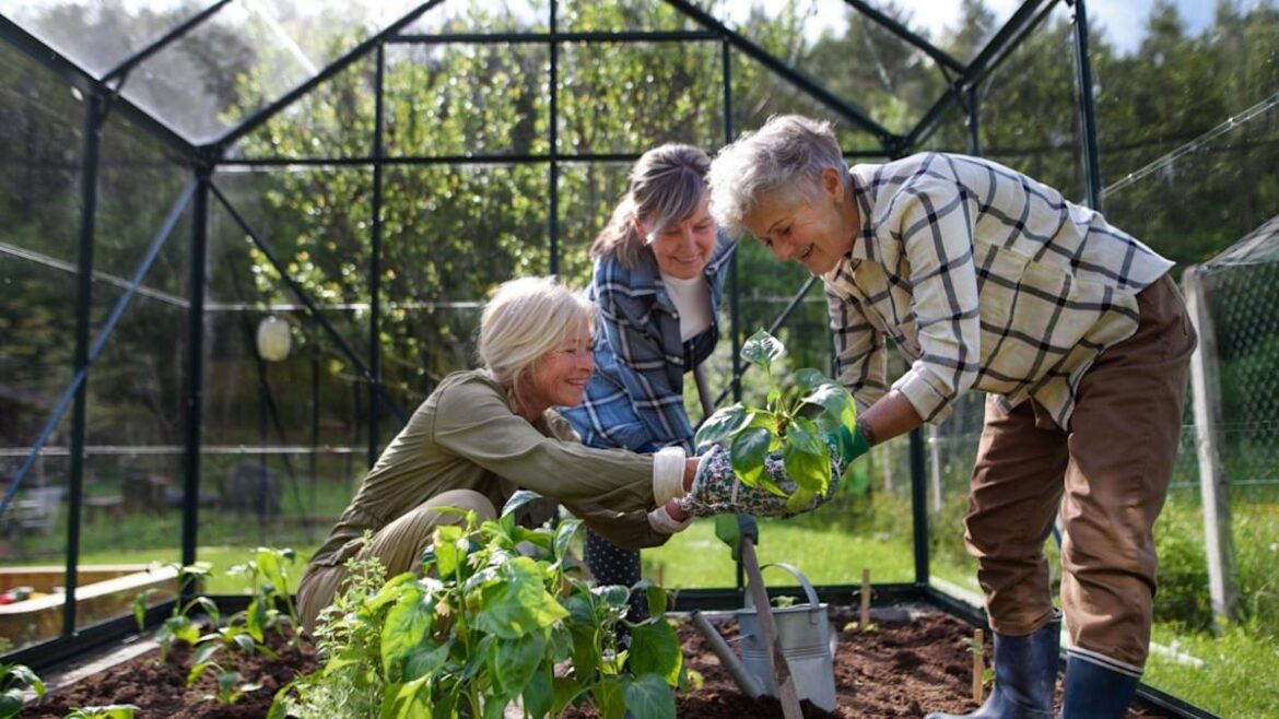 Backyard Garden Lover