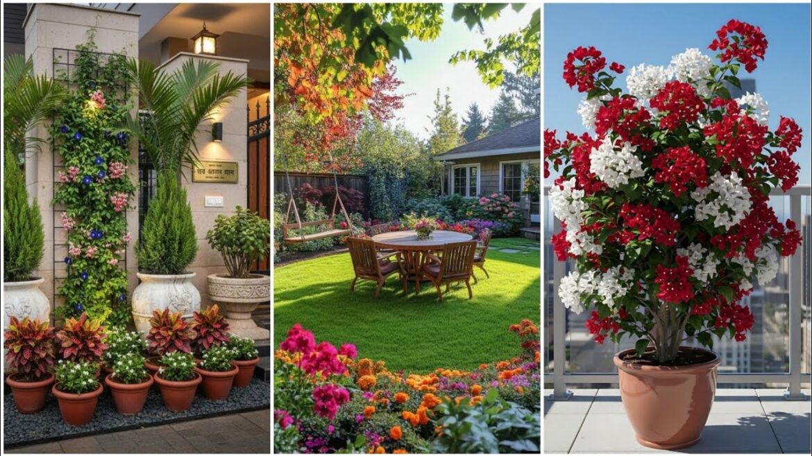 Small Garden ideas, Garden ideas, Small Garden Design, Garden Design ideas, DIY, Garden #2026