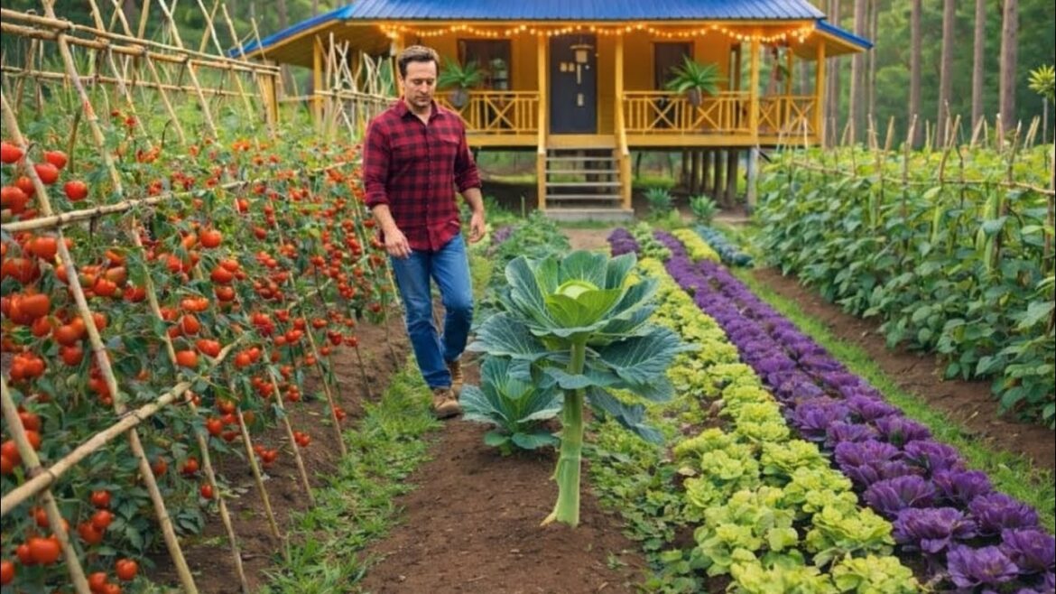 Life in Countryside :Garden ideas for home vegetable,preparing soil fertilizer to build garden(4)
