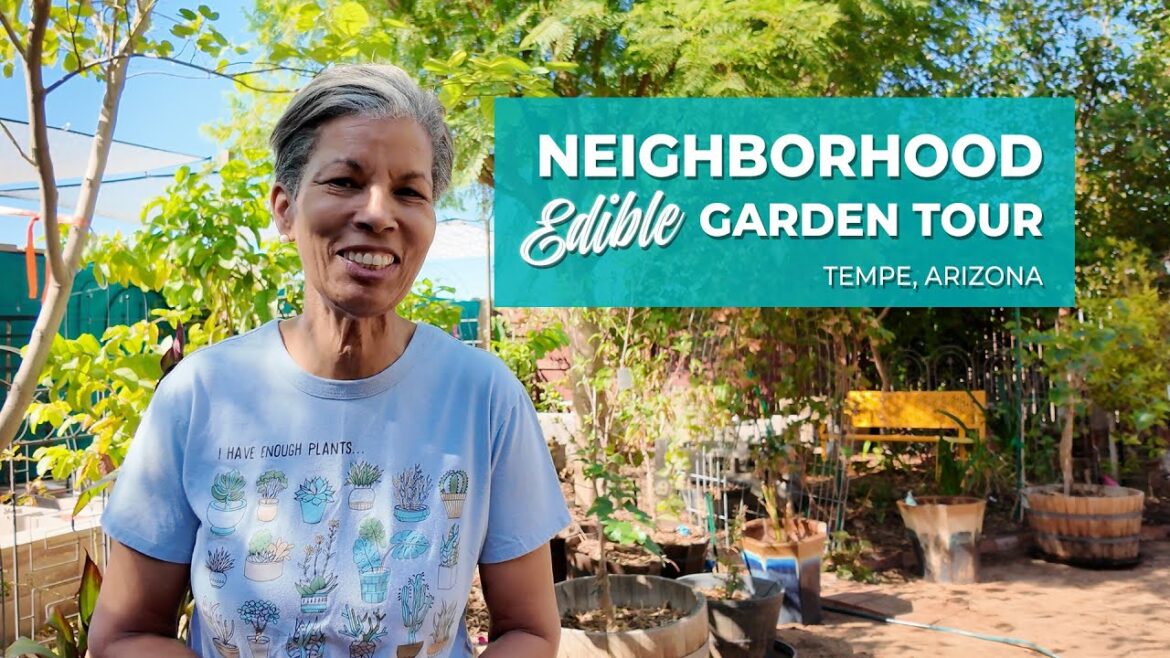 Wanda’s Backyard Edible Garden in Tempe, Arizona – Neighborhood Edible Garden Tour Series Wanda’s Backyard Edible Garden in Tempe, Arizona - Neighborhood Edible Garden Tour Series