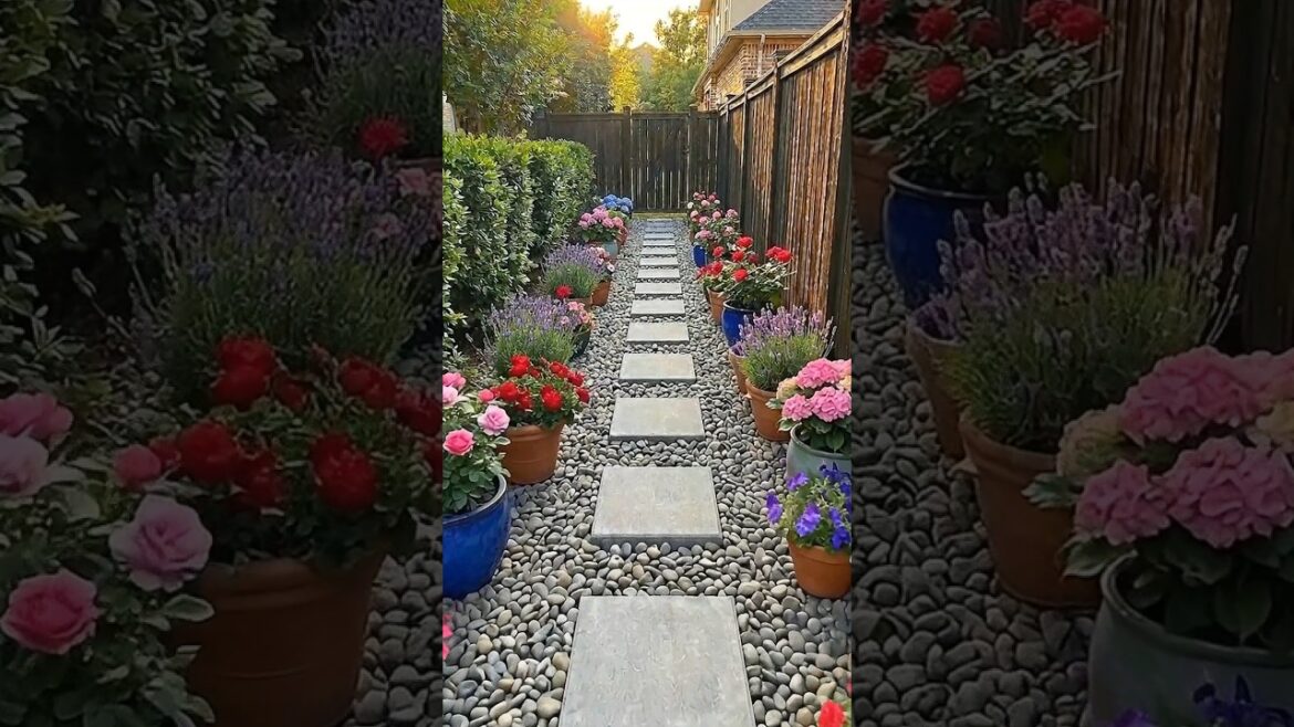 You Won’t Believe This Modern Front Yard Glow Up! 😱✨