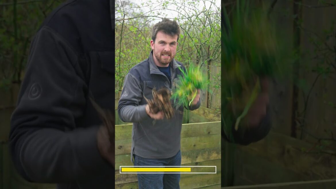 How to Make Compost (20 Second Gardening)