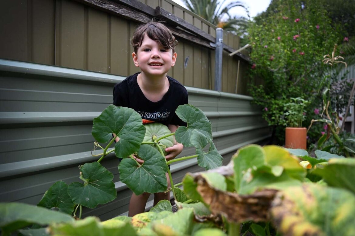 Toby really digs gardening | Shepparton News