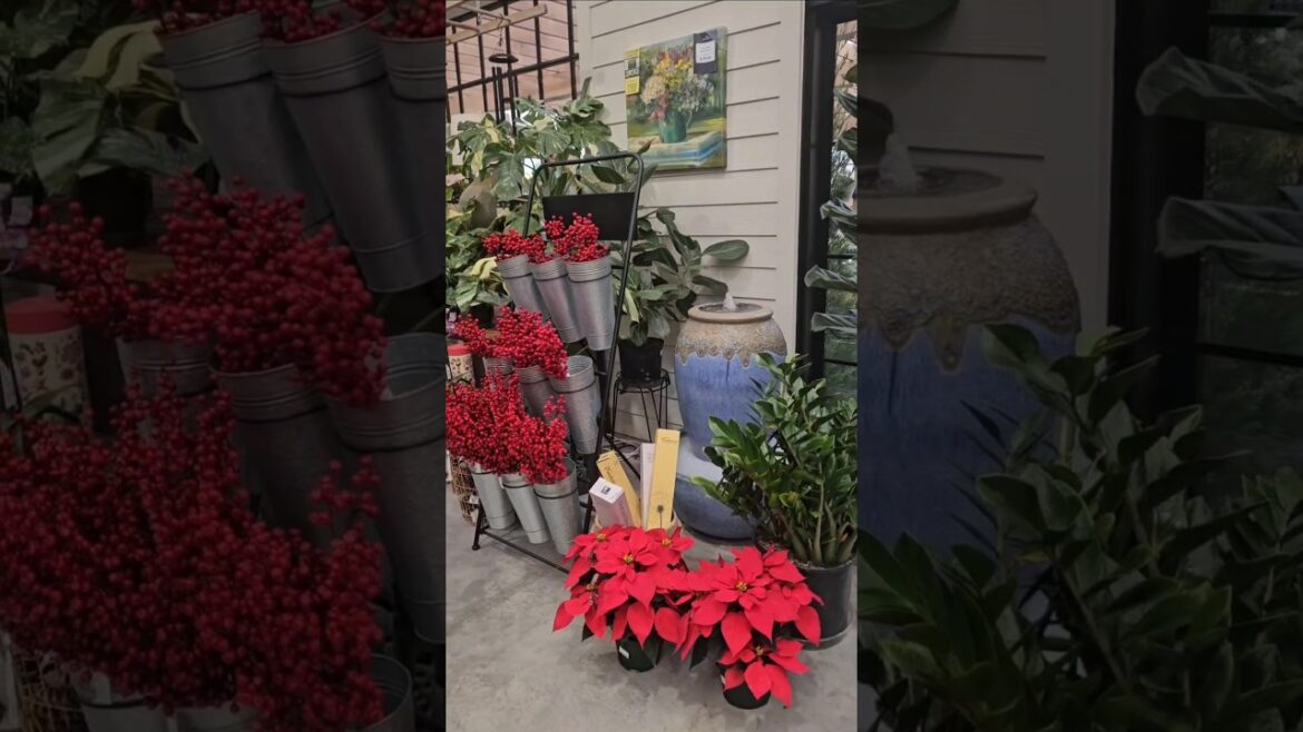 Beautiful Christmas garden supplies #garden