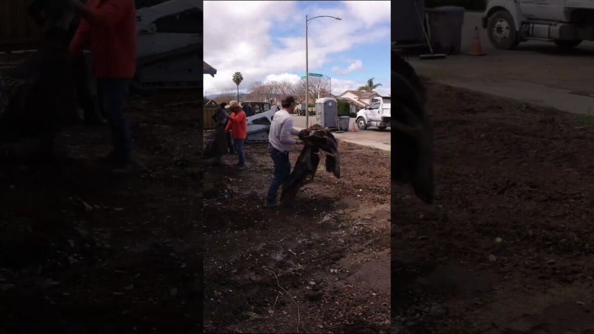 We're Doing a Complete Front Yard Makeover 🏡🧱 #pavers #bayarea #landscape #yard