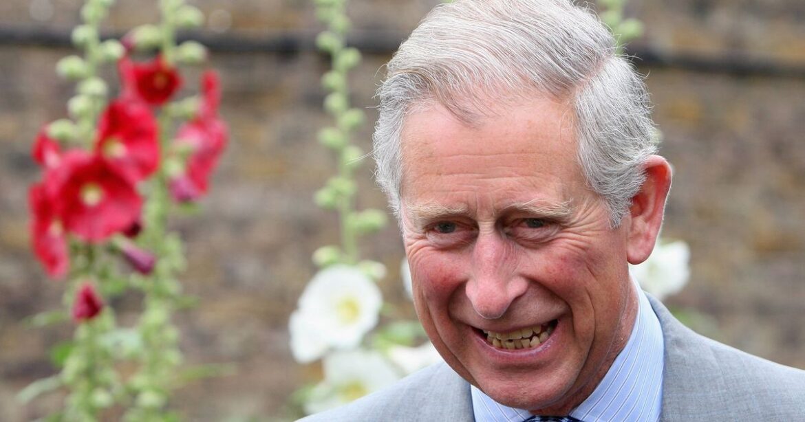 King Charles’ former gardener shares crucial spring jobs to be done now for the summer Daily Mirror