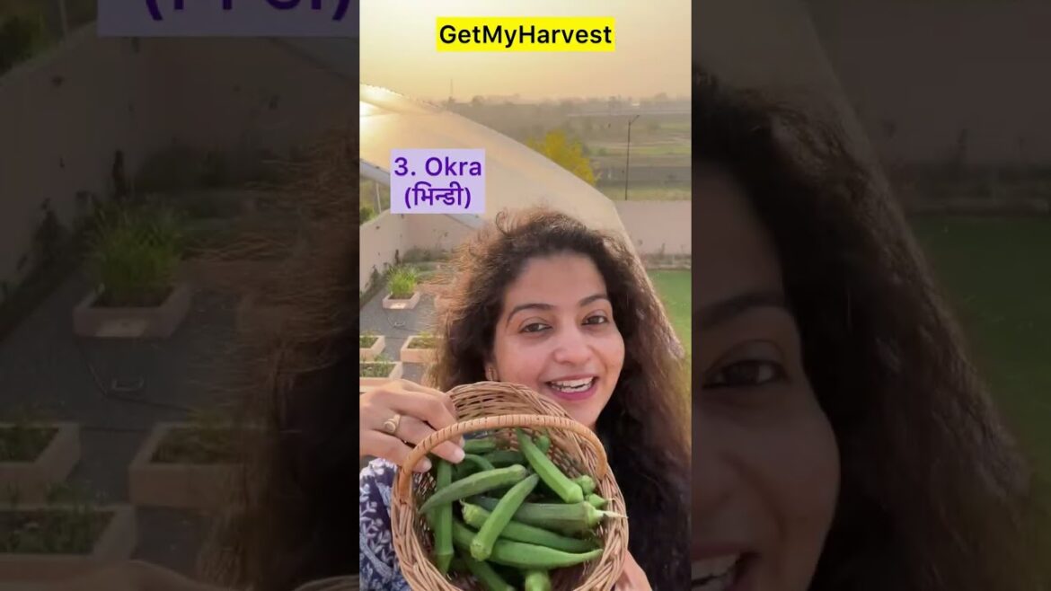 10 Summer Vegetables to grow in May June | मई जून में लगाओ ये 10 सब्जियां #summervegetables
