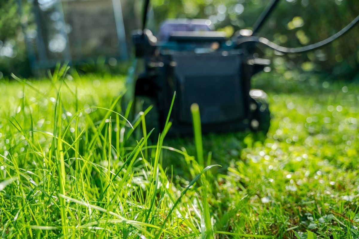 POV of lawn mower at ground level showing freshly cut and uncut grass on sunny day