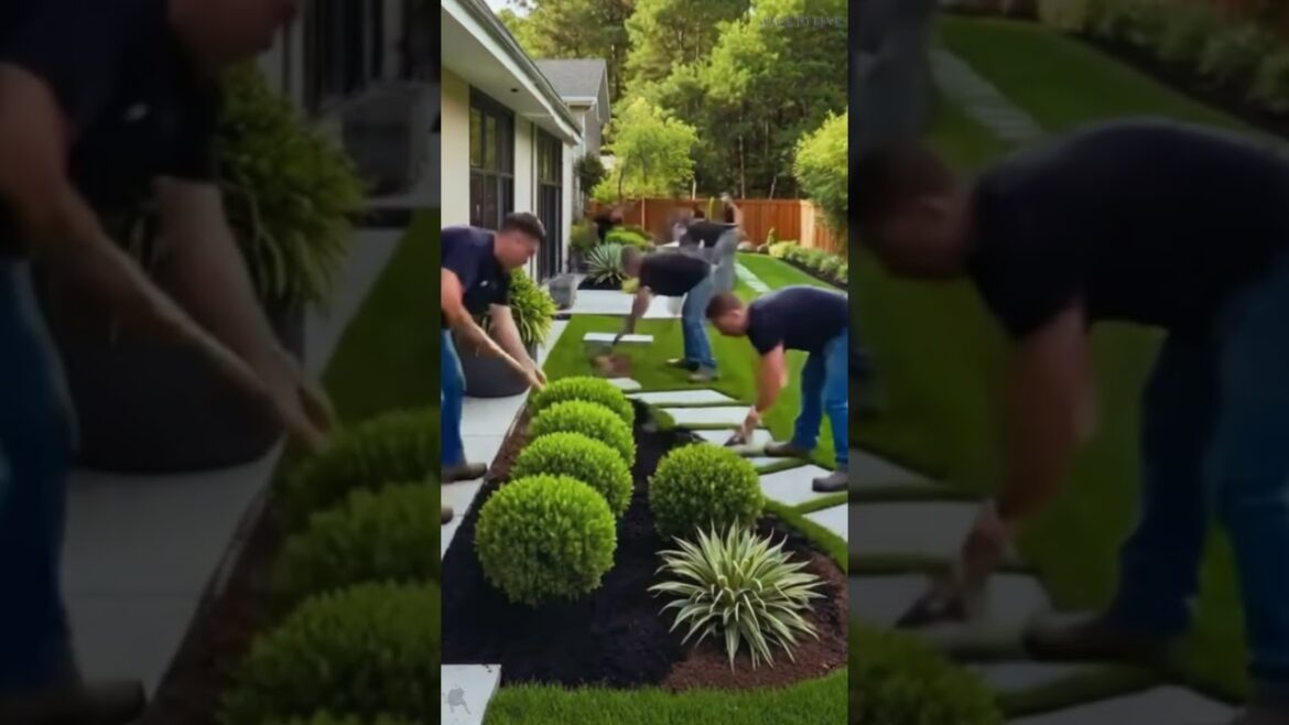 Luxurious backyard renovation | Style and comfort landscape design. #transformation #garden