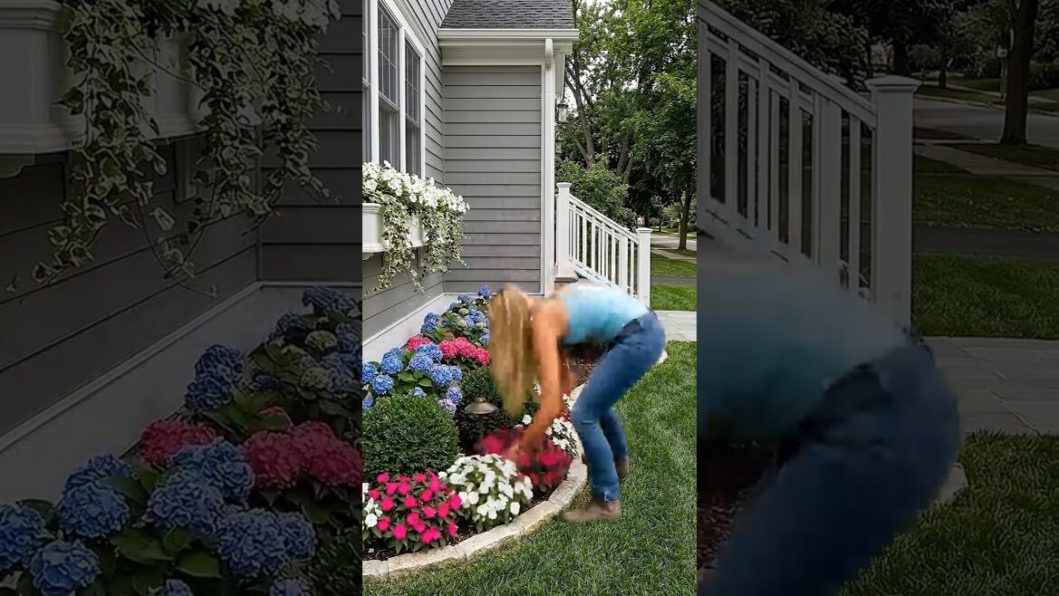 Creating a Beautiful Front Yard Flower Bed