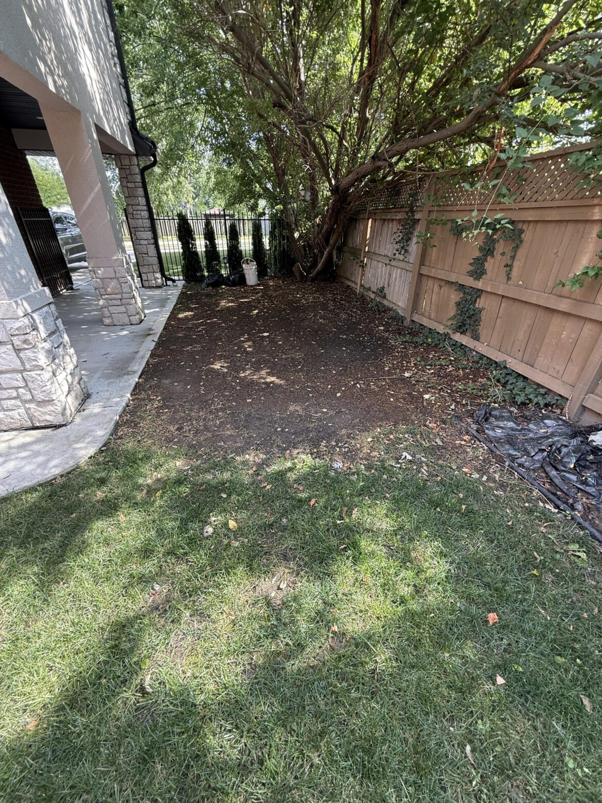 Sod was out in this area twice and never survived, I was tho king of seeding it with shade seed, any suggestions ?