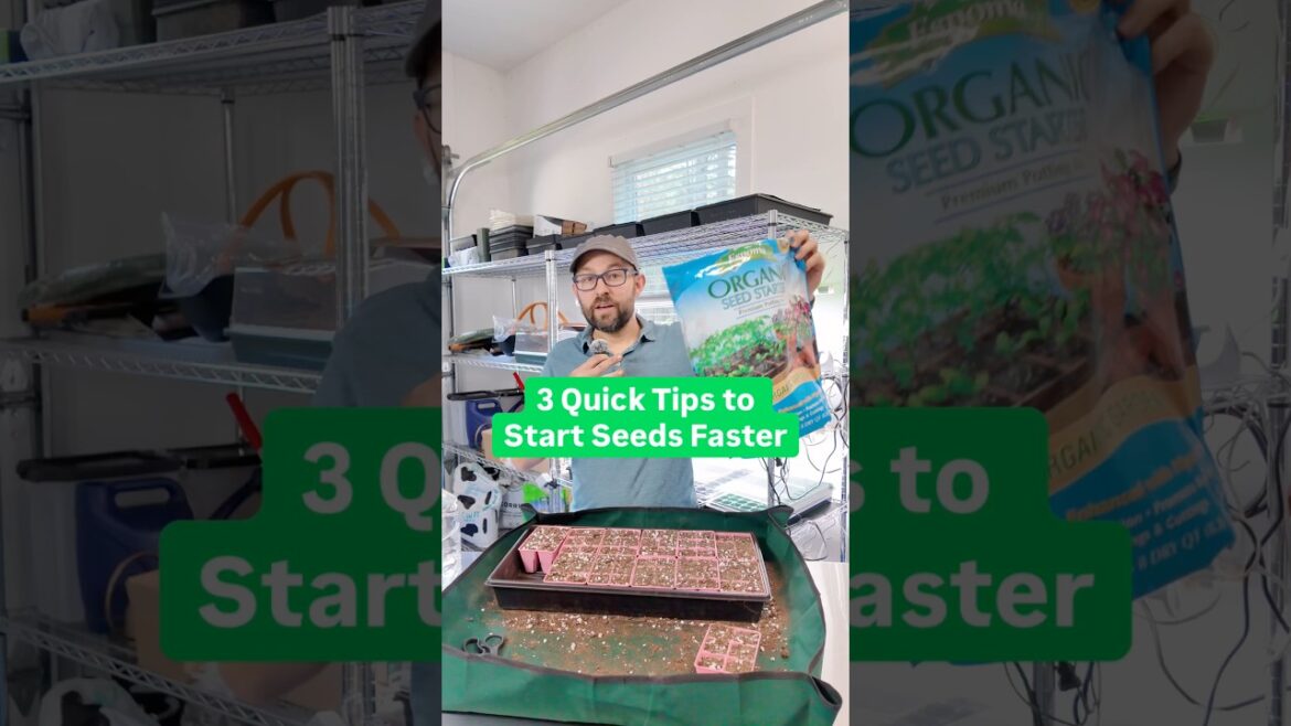 3 Quick Tips to Start Seeds Faster #gardening #garden #seedstarting