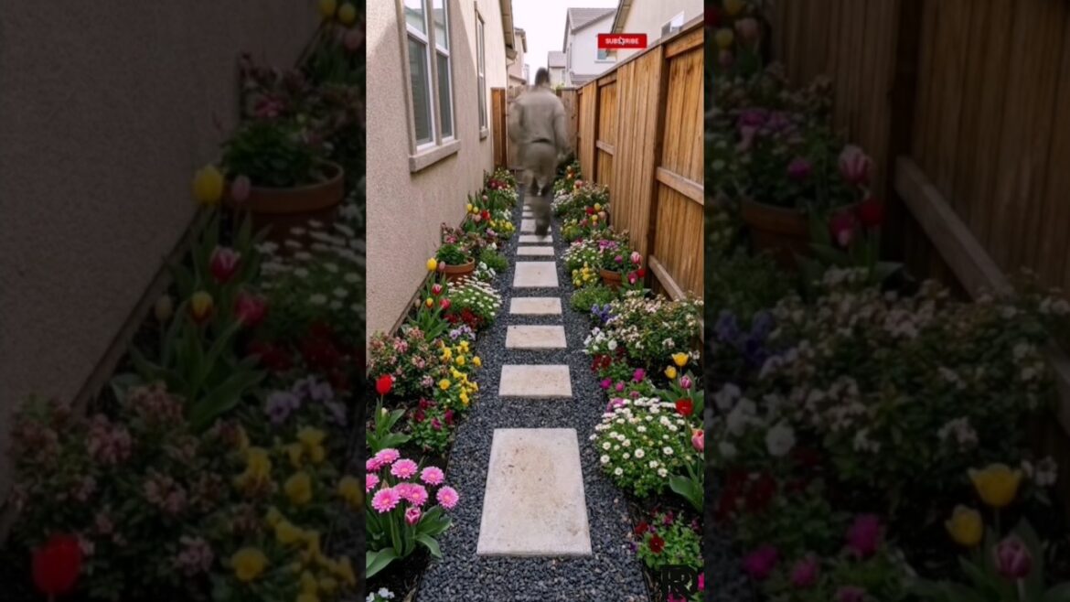 Backyard Makeover Timelapse | Full Transformation