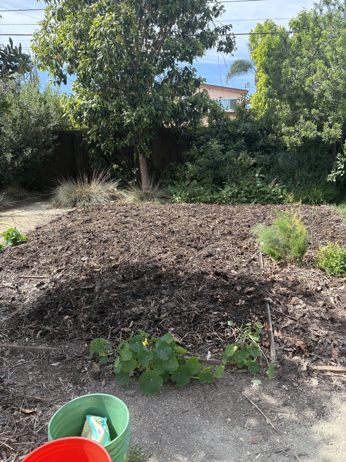 this was a lawn