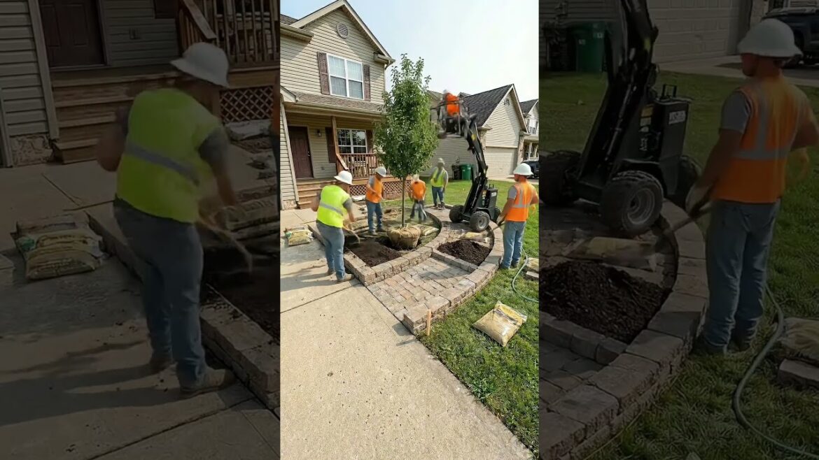 You won’t believe this modern front yard transformation #garden #makeovervideos You won’t believe this modern front yard transformation #garden #makeovervideos