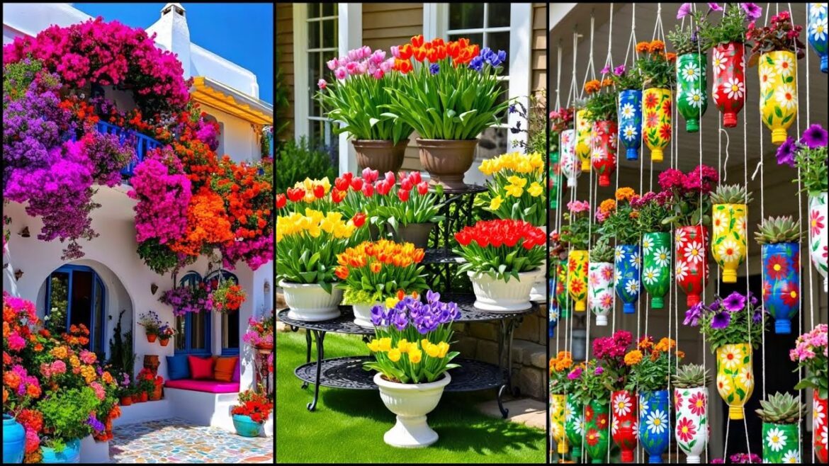 Small Garden ideas, Garden ideas, Small Garden Design, Garden Design ideas, DIY, Garden Small Garden ideas, Garden ideas, Small Garden Design, Garden Design ideas, DIY, Garden