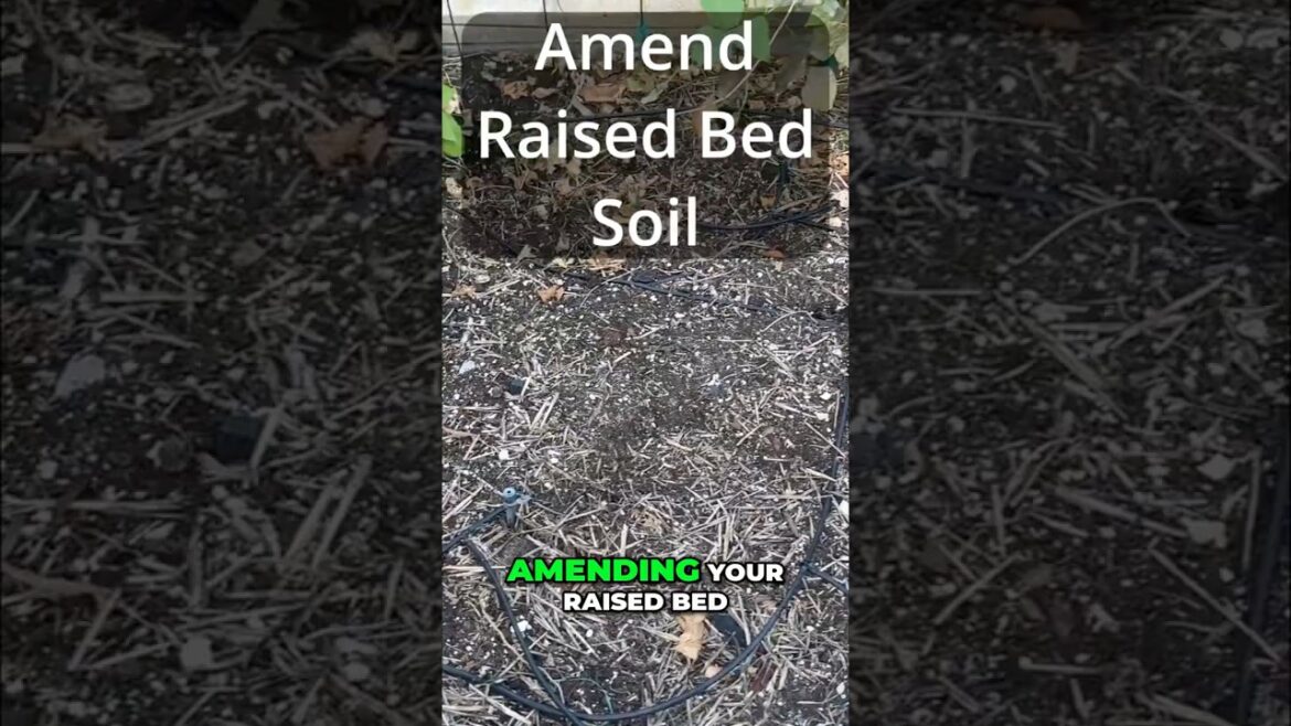 California Gardening: Raised Bed Soil Refresh: Compost + Worm Castings for Better Growth Raised Bed Soil Refresh: Compost + Worm Castings for Better Growth