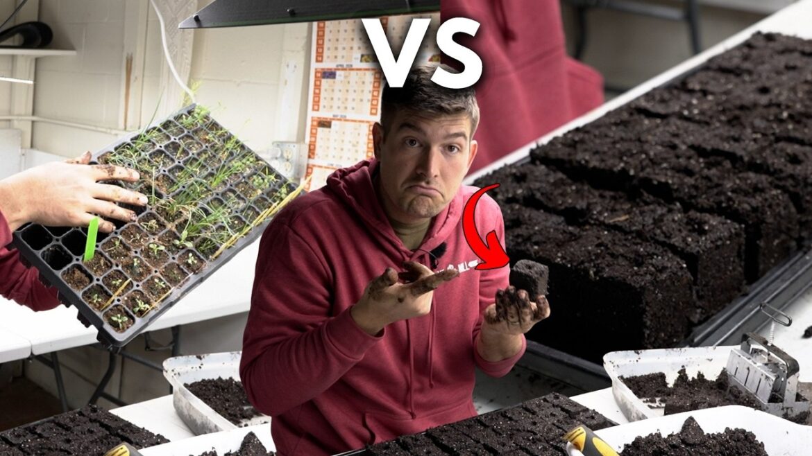 Throw Away Your Plastic Pots for SOIL BLOCKS Everything to Know!