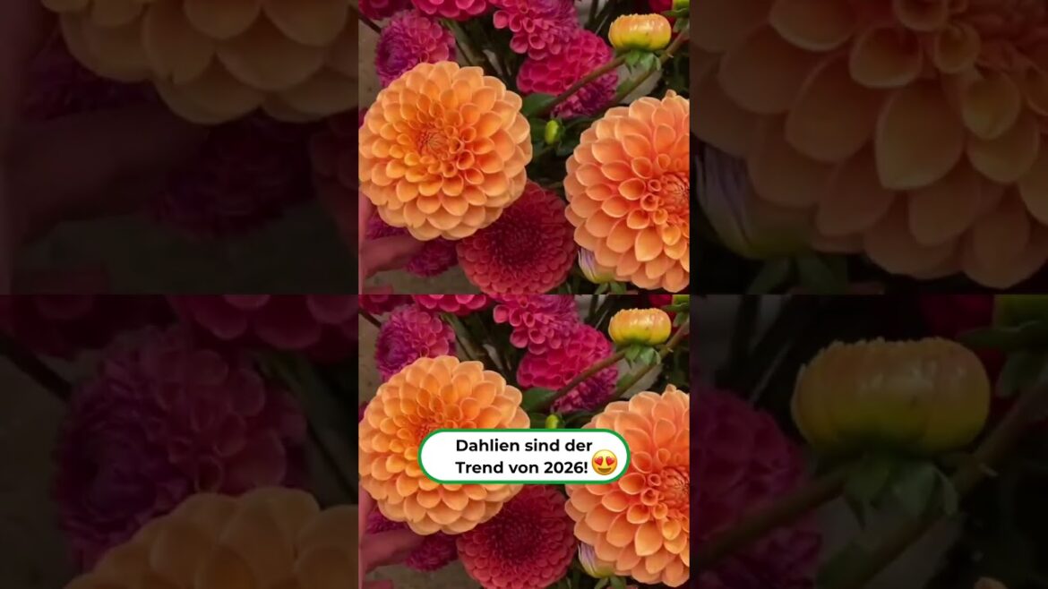 You’re Missing the Flower Trend of 2026! 🌸