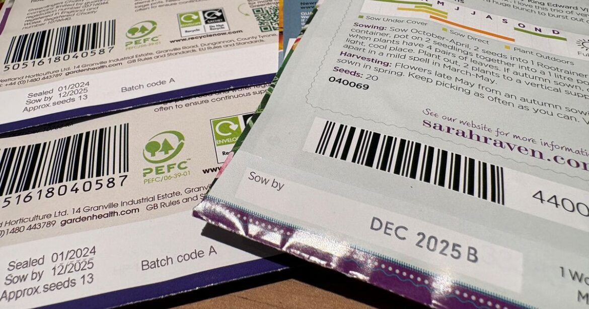 Gardener Huw Richards explains what to do with out-of-date seeds