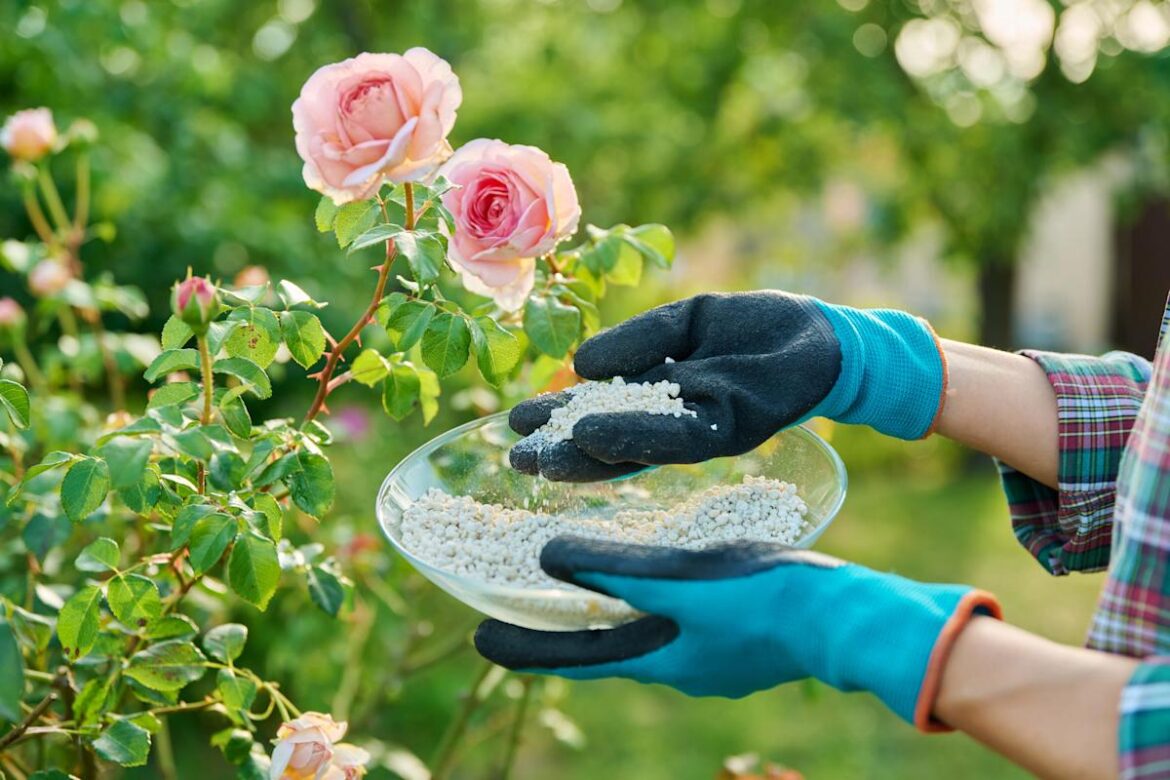 As Midwest weather roller coasters, when can I start planting my garden? As Midwest weather roller coasters, when can I start planting my garden?