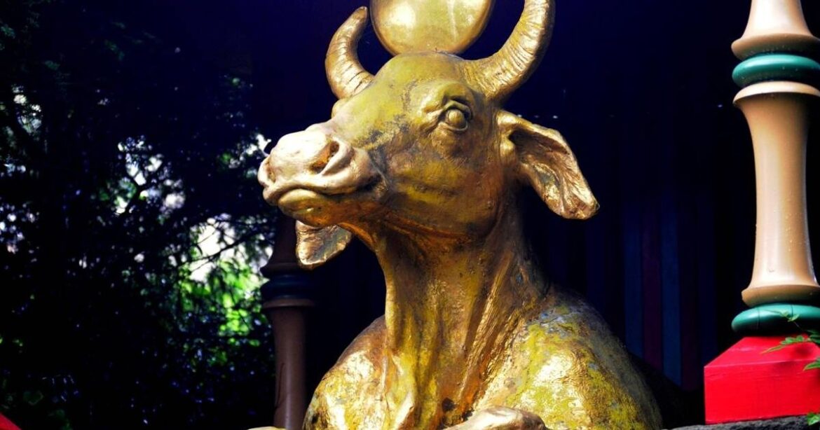 The stunning Chinese garden and woodland playground with free entry this week