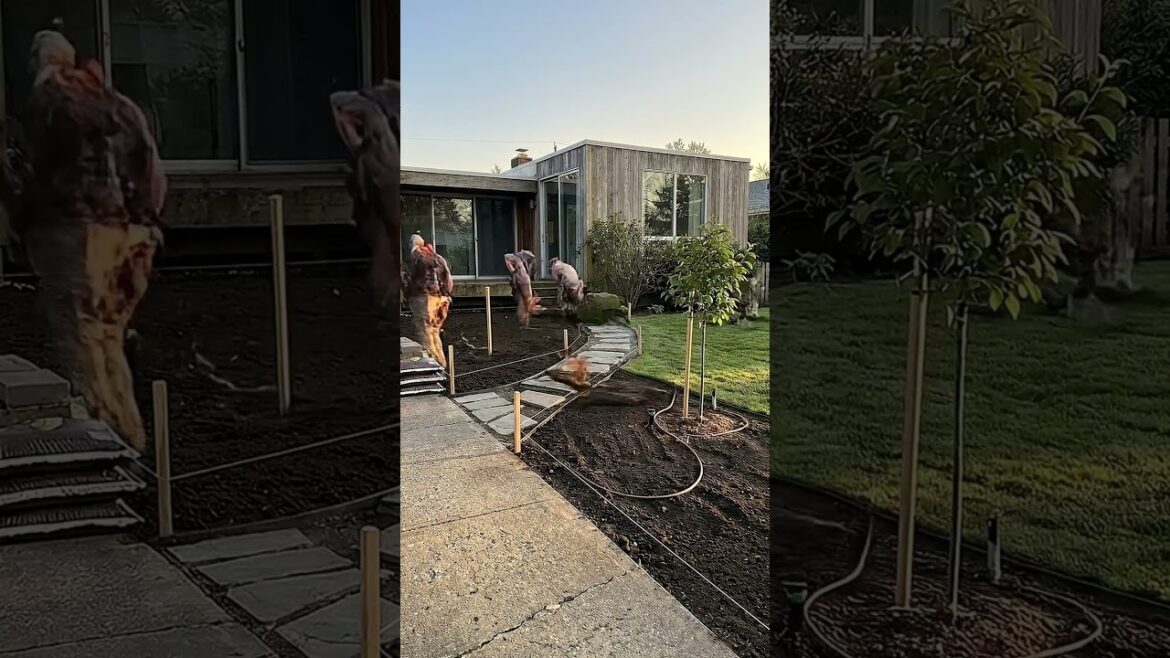 From a weed-filled wasteland 🌿 to a lush and beautiful front yard garden 🌼✨