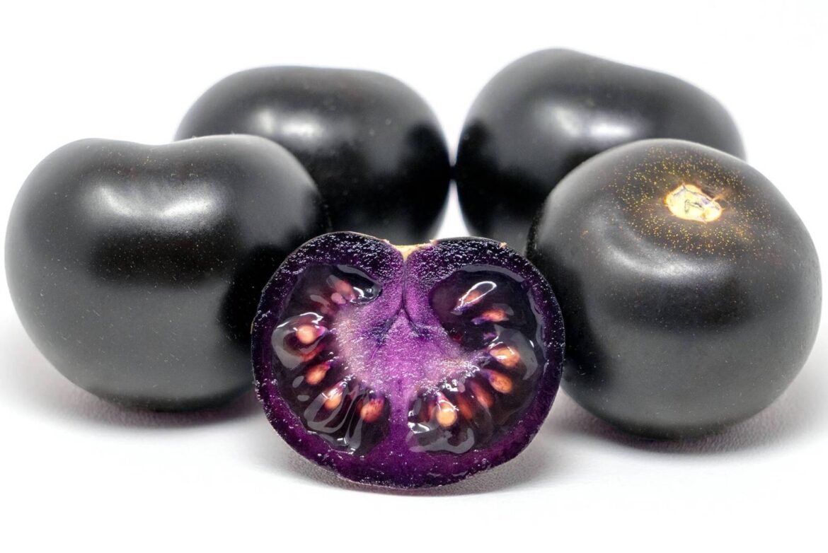 Seedy Saturday – Winnipeg Free Press Seedy Saturday – Winnipeg Free Press