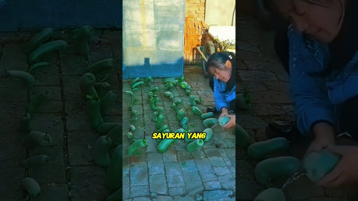 The Vegetable You Never Knew Existed! 😱